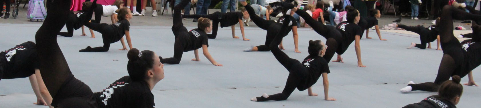Club Deportivo Ritmica de Mieres